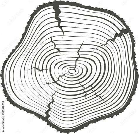 Tree Ring Wooden Log Circle Annual Stump Texture And Topography Circle