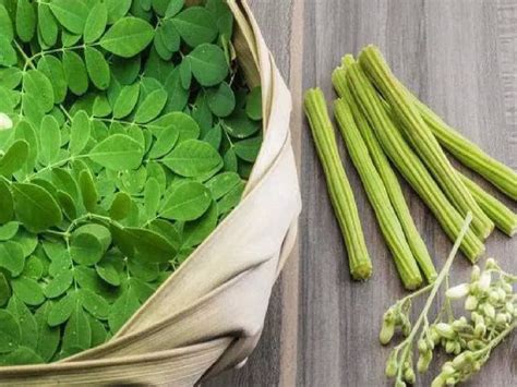 Moringa Leaves Water On Empty Stomach 7 Health Benefits Of Drinking