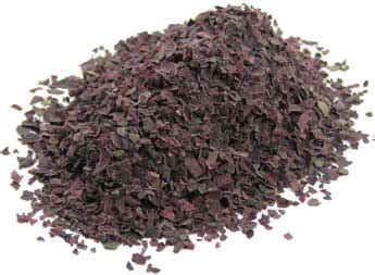 Dulse powder – NutraWiki