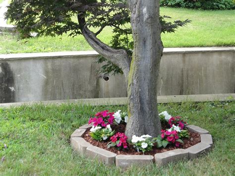 Eye Catching Flower Beds Around Trees You Need To See Top Dreamer