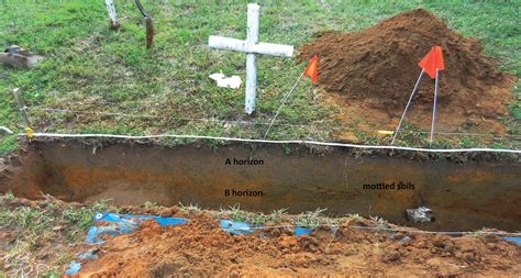 USF Researchers To Start Exhuming Bodies At Dozier Saturday | WFSU