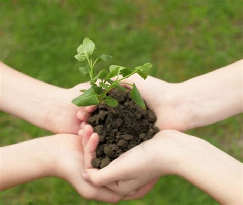 Come Spiegare La Biodiversit Ai Bambini Nostrofiglio It