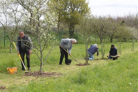 Avril Binage Paillage Et Greffe En Couronne Avalou Plabenneg