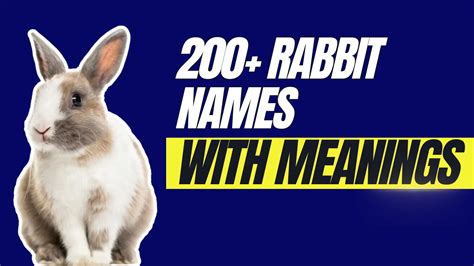 370 Cute Rabbit Names Ideas AI Generator