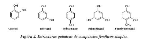 Phenolic Compounds In Food