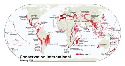 Biodiversity Hotspots Of India Dr Caesar Photography