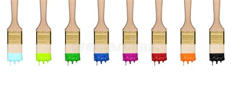 Brushes With Paint Drop Stock Image Image Of Artist 12369385