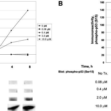 Camptothecin induces apoptosis and increased p53 activation in HeLa ...