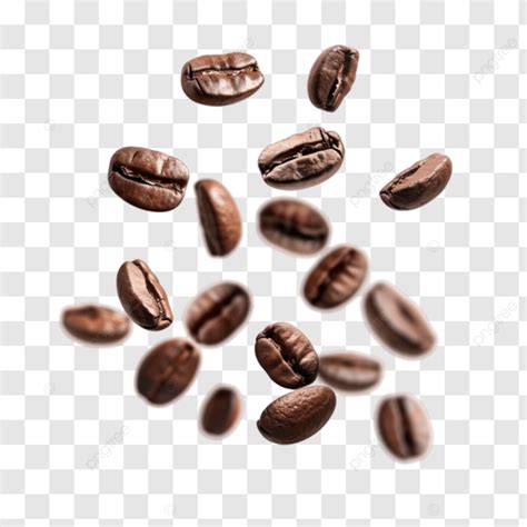 Collection Of Coffee Beans Coffee Beans Collection Set Png