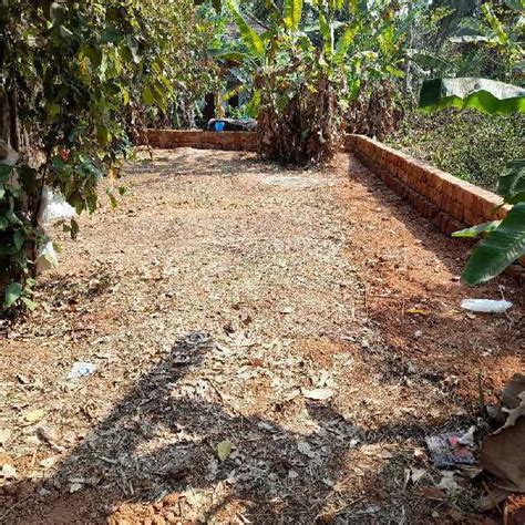 Residential Plot 6 Cent For Sale In Podikkundu Kannur REI1028767