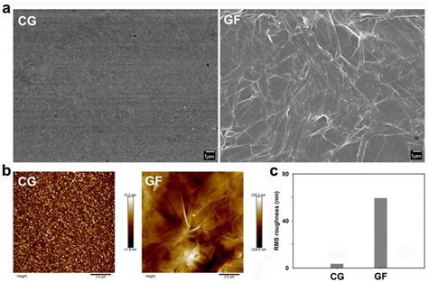 a SEM images, b AFM images, and c the comparison of surface roughness ...