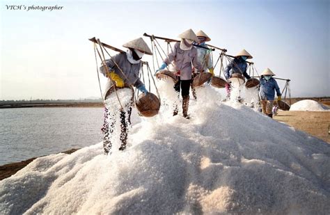 Vietnam's Most Beautiful Salt Fields - Amazing destination for those ...