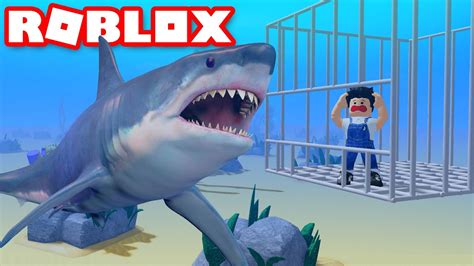 The Most Dangerous Shark In Roblox Youtube