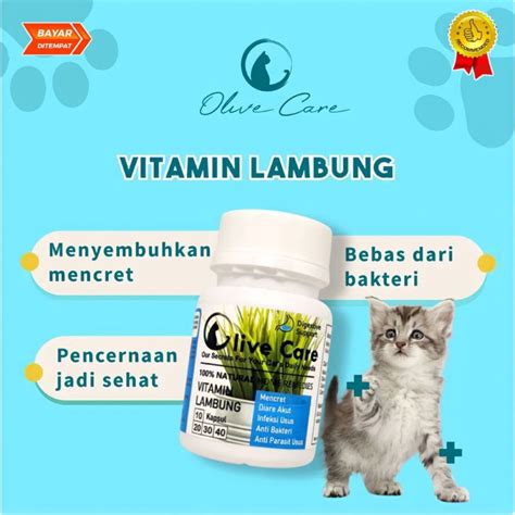 Jual Olive Care Vitamin Kucing Masalah Pencernaan Untuk Menyembuhkan