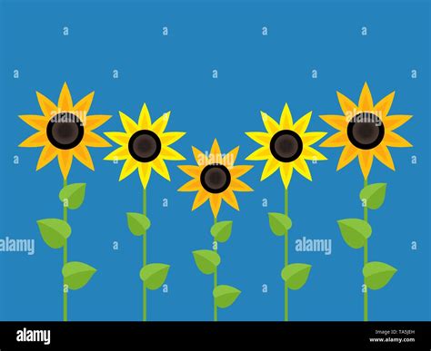 S Mbolos De Girasol Vectorial Aislado Sobre Fondo Azul Jard N De