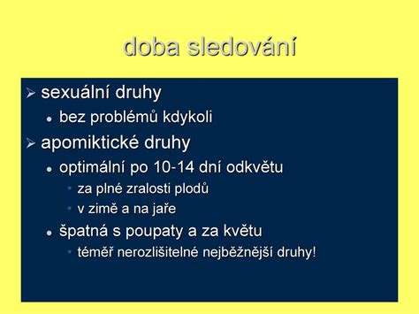 Rosa Vít Grulich ppt stáhnout