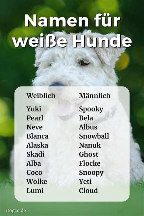 Namen für weiße Hunde Weiblich und männlich mit Bedeutung