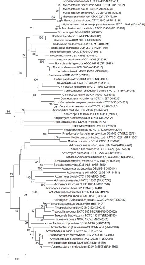 Figure From Pathogenicity And Virulence Of Trueperella Pyogenes A