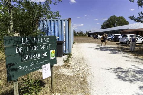 Visite De L Exploitation Ferme De L Or Vert Enfant Bordeaux Fr