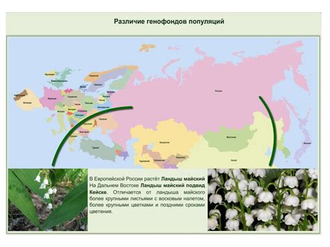 Факторы эволюции. Биология. 11 класс - презентация онлайн