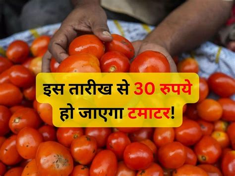 Tomato Prices May Drop To Rs 30 Per Kg In Mid August Tomato Price