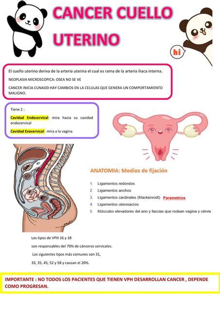 C Ncer Cuello Uterino Liz Sagastegui Udocz