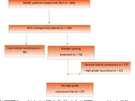 Figure 1 From Bladder Sparing Treatment In Patients With Bacillus