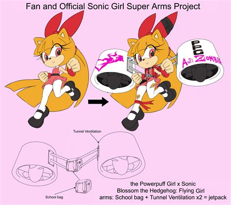 Sonicsuperarmsproject Blossom The Hedgehogdesign By Skyshek On Deviantart