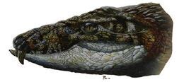 Armadillosuchus | Fossil Wiki | FANDOM powered by Wikia