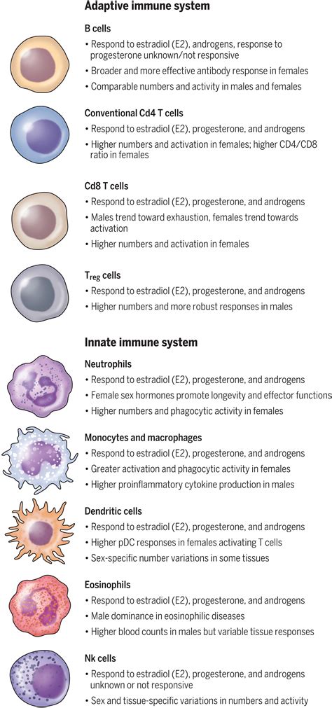 Sex Differences In Tissue Specific Immunity And Immunology Science