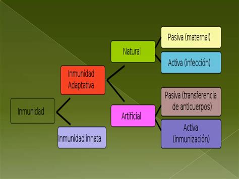 Inmunidad Tipos Ppt