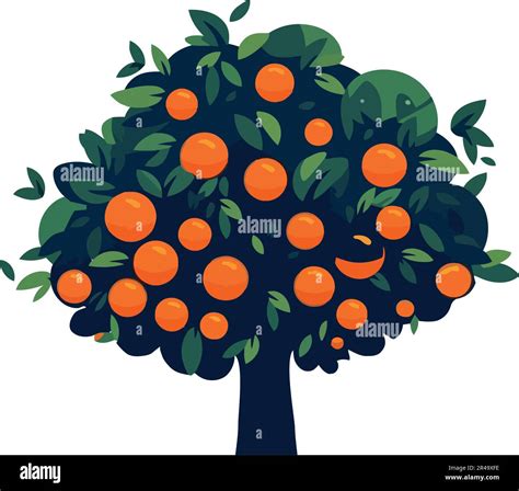 Orange Fruit Tree Design Stock Vector Image And Art Alamy