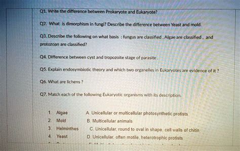 SOLVED Q1 Write The Difference Between Prokaryote And Eukaryote Q2