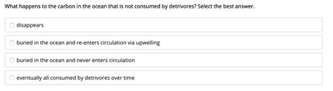 What happens to the carbon in the ocean that is not consumed by detritivores? Select the best ...