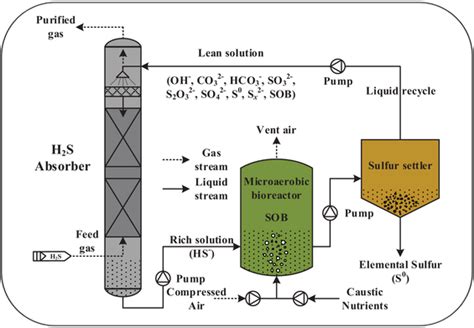 Schematic Diagram Of The Biological Gas Desulfurization Process The Download Scientific