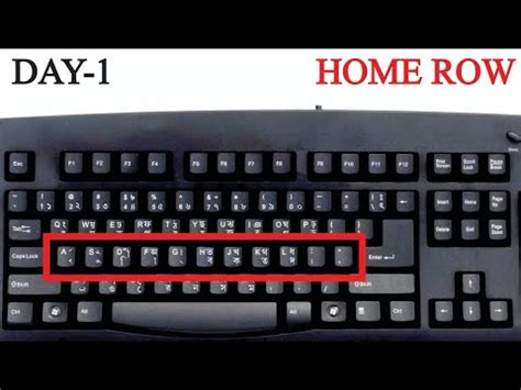 Learn Keyboard Typing Home Row Typing Practice Typist