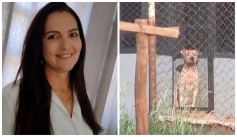 Caseiro atacado por pitbulls deixa hospital após mais de 10 dias