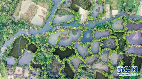 Das Wundersch Ne Feuchtgebiet Huixian Am Fluss Lijiang China Org Cn