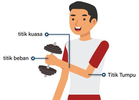 Prinsip Kerja Pesawat Sederhana Pada Saat Seseorang Mengangkat Barbel