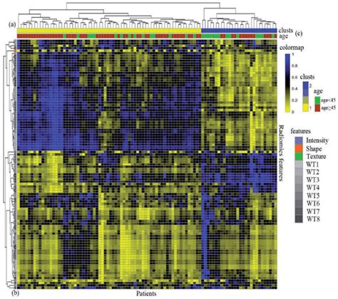 Radiomics Heat Map A Unsupervised Hierarchical Clustering Of 101