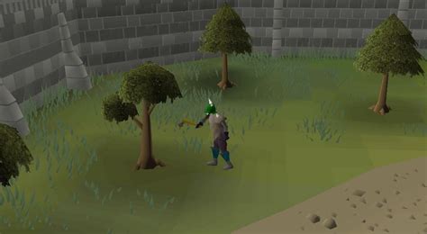 Woodcutting Guide Osrs P2P