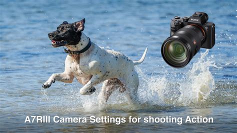 A7RIII Camera Settings for Shooting Action, Sports and Wildlife - Mark ...