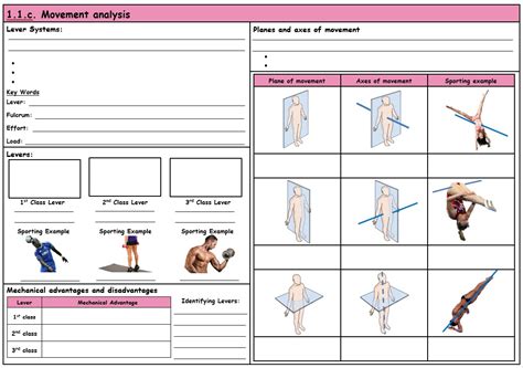 Gcse Pe Ocr 9 1 Movement Analysis Component 01 Knowledge