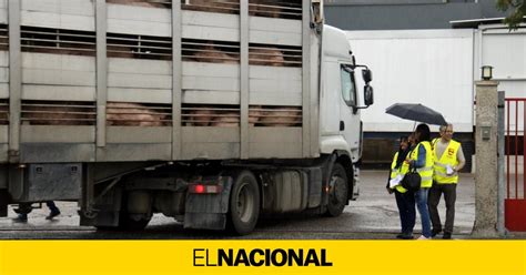 Los Mataderos Tendr N Que Instalar C Maras De Vigilancia Para Velar Por