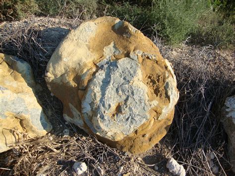 Csms Geology Post Kansas Concretions Cretaceous