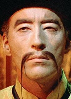 What is a Fu Manchu Moustache?