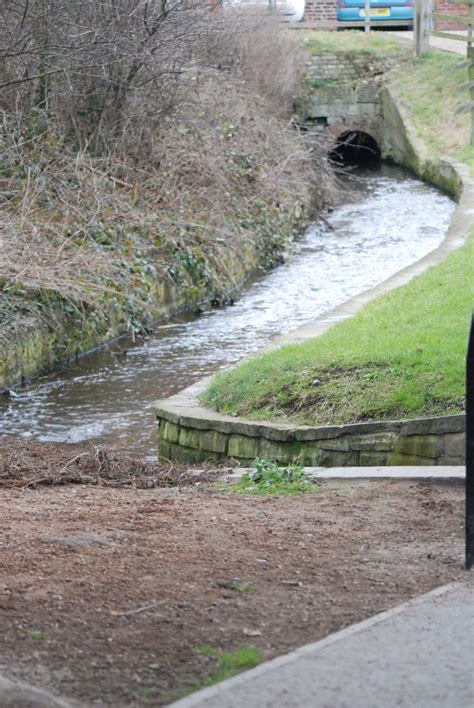 Canal To Morse Lock 30 Jan 11 428 Roger Bunting Flickr