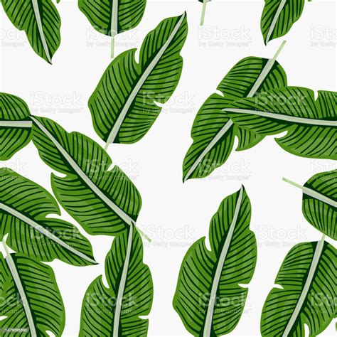 Tropical Leaf Seamless Pattern Exotic Leaves Background Jungle Plants Endless Wallpaper