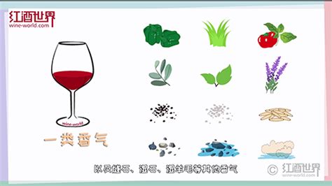 盘点葡萄酒里的12种香气 红酒世界网