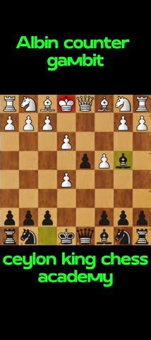 Opening Albin Counter Gambit Chesssinhala Chess Gambit